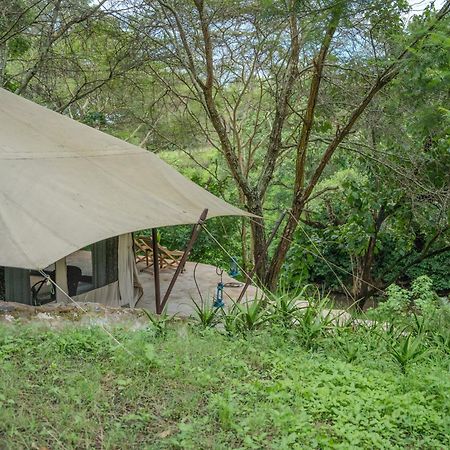 Dolly Farm & River Camp, Luxury Tents Usa River Kültér fotó