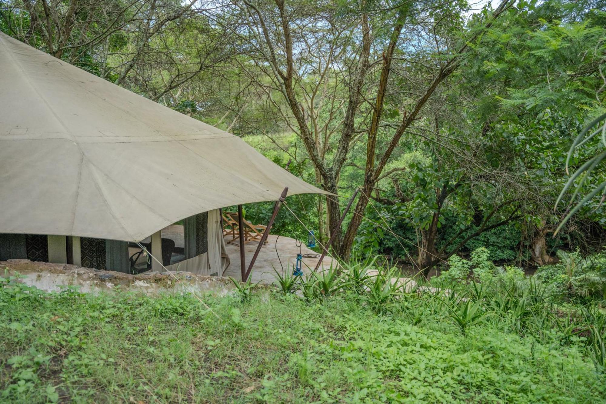 Dolly Farm & River Camp, Luxury Tents Usa River Kültér fotó
